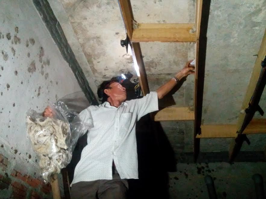 Khám Phá Thiên Nhiên Việt Nam: Kỳ thú loài chim Yến