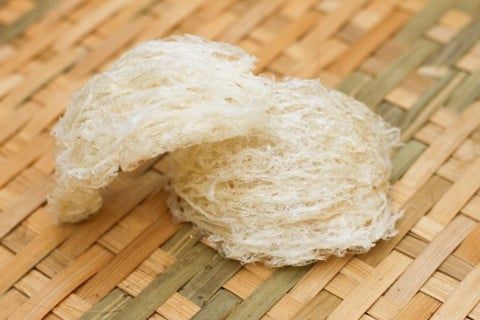 Tổ yến bị vàng phải làm sao?